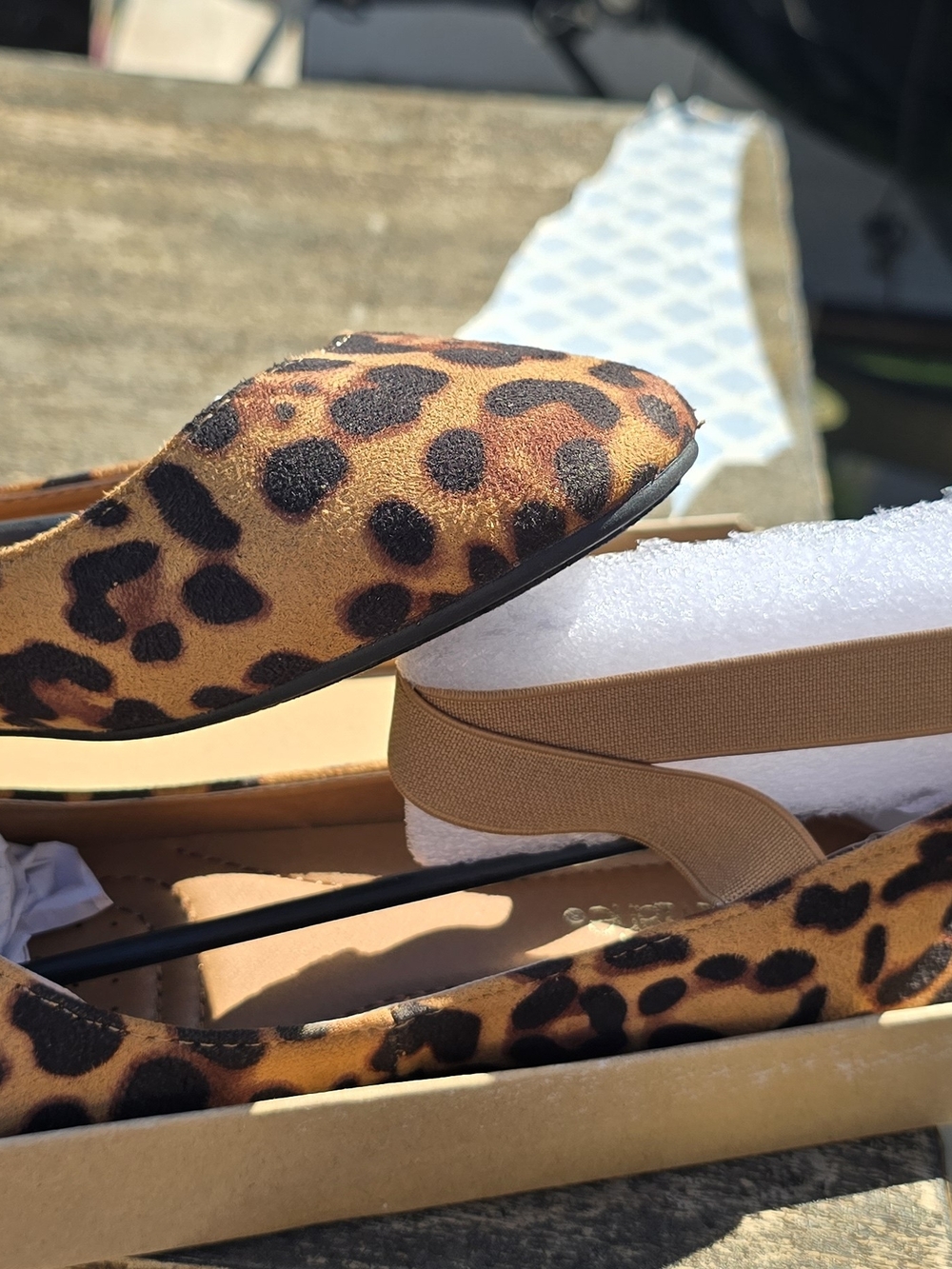 Bella Marie Leopard-Print Ballet Flats in Tan and Black